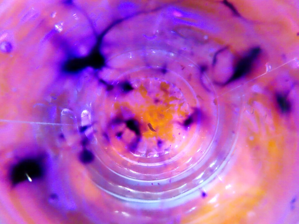 A close-up view of a transparent container filled with swirling purple and yellow liquids, seen from above.