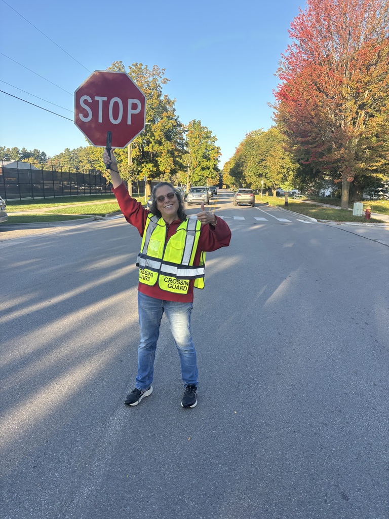 Person in safety vest standing in road holding red octagonal sign with the word "STOP" on it.