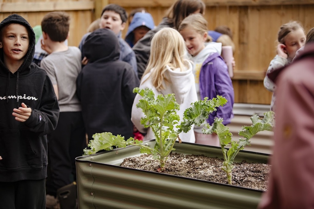Children gather around a wooden fence, observing a garden bed with young plants. Some wear hoodies, others jackets.