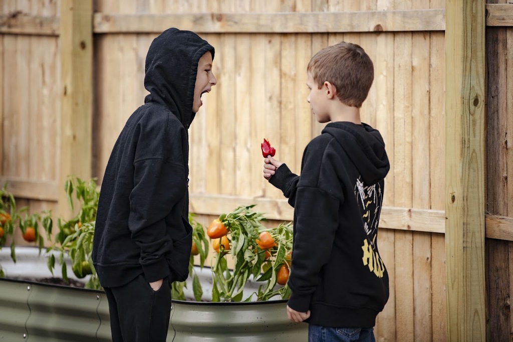 Two boys in black hoodies face each other in a backyard garden. One holds a red object, and plants with orange fruits are in the background.