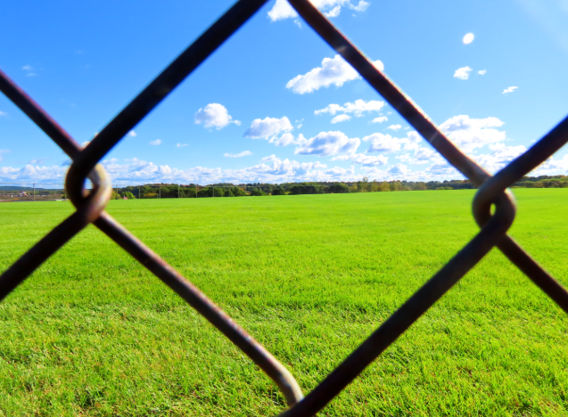 Chain link fence with blue sky, white clouds, and a green grassy field visible through gaps.