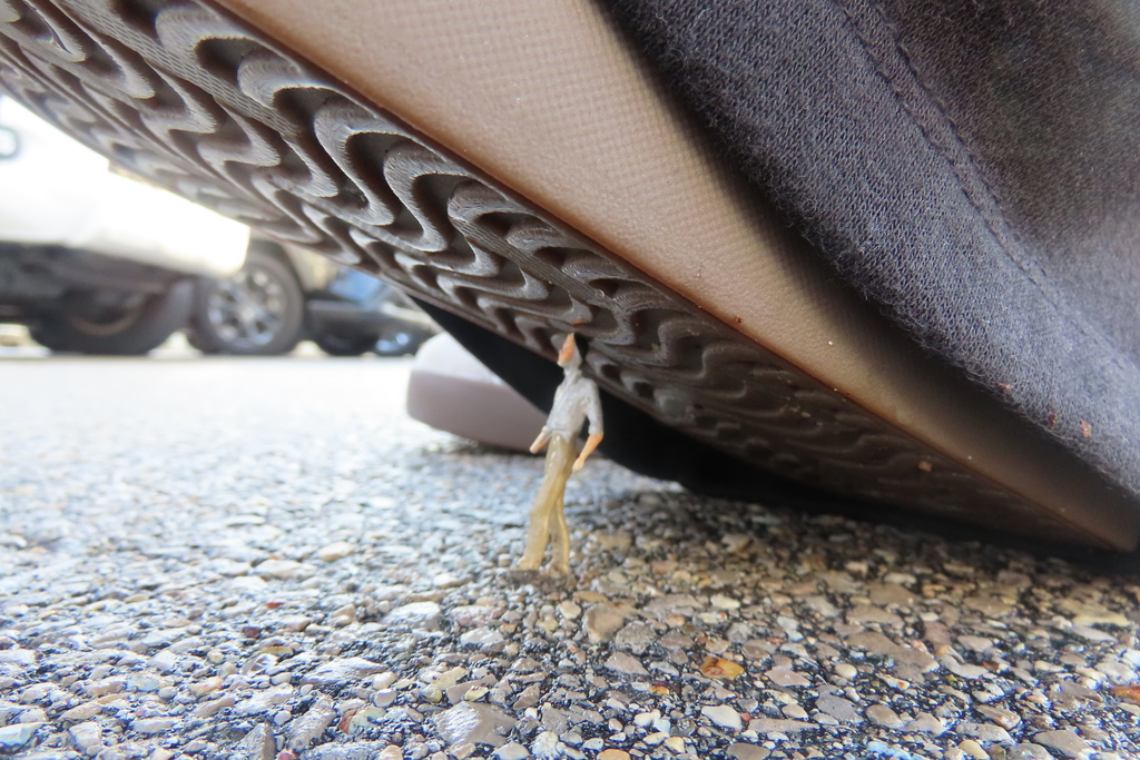 A small figure stands under a shoe, which is partially obscured by the tire tread. The road has small stones.