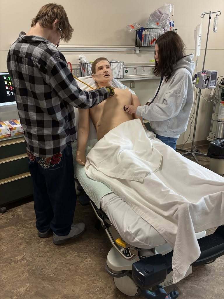 Students practice medical skills on a mannequin in a classroom. A student holds a stethoscope while another student places a hand on the mannequin.