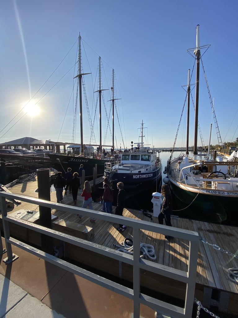 People stand on a wooden dock at a harbor. Several sailboats are docked and in the water.