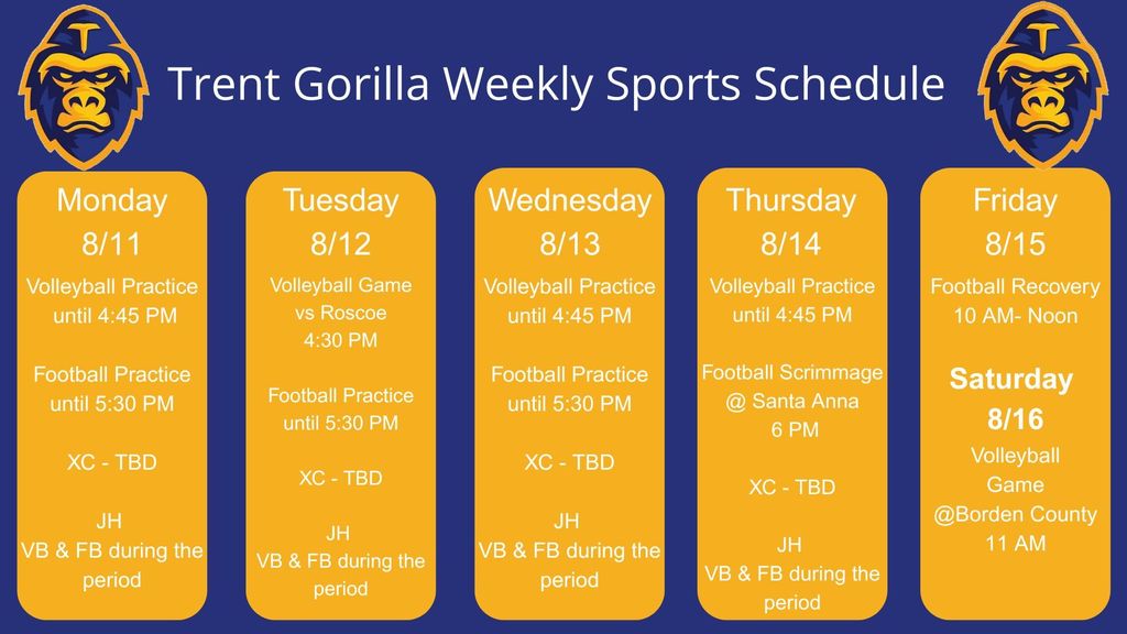 week 2