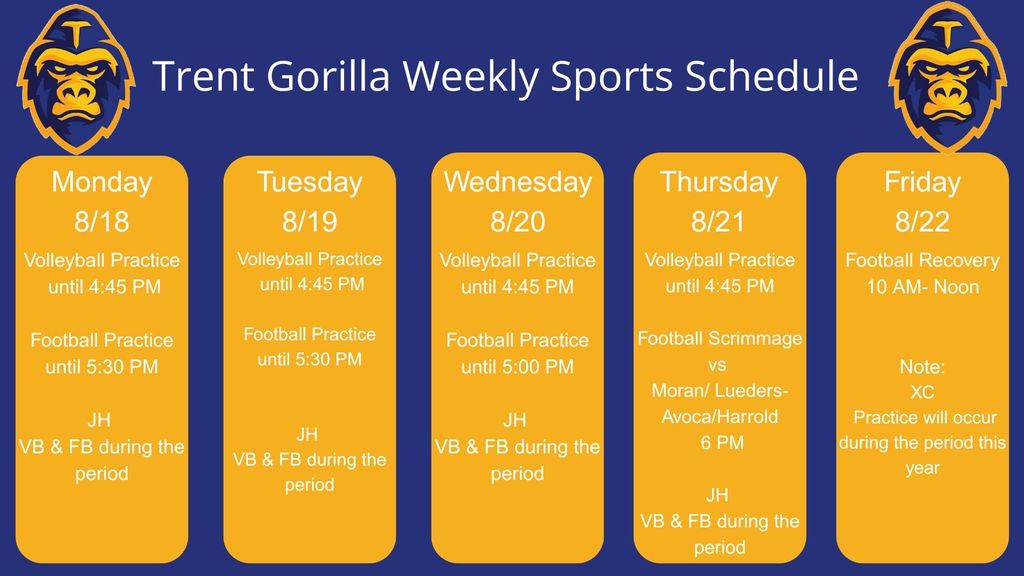 week 3