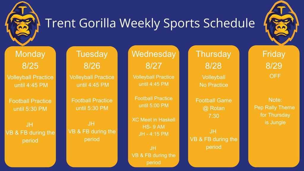 Week 5