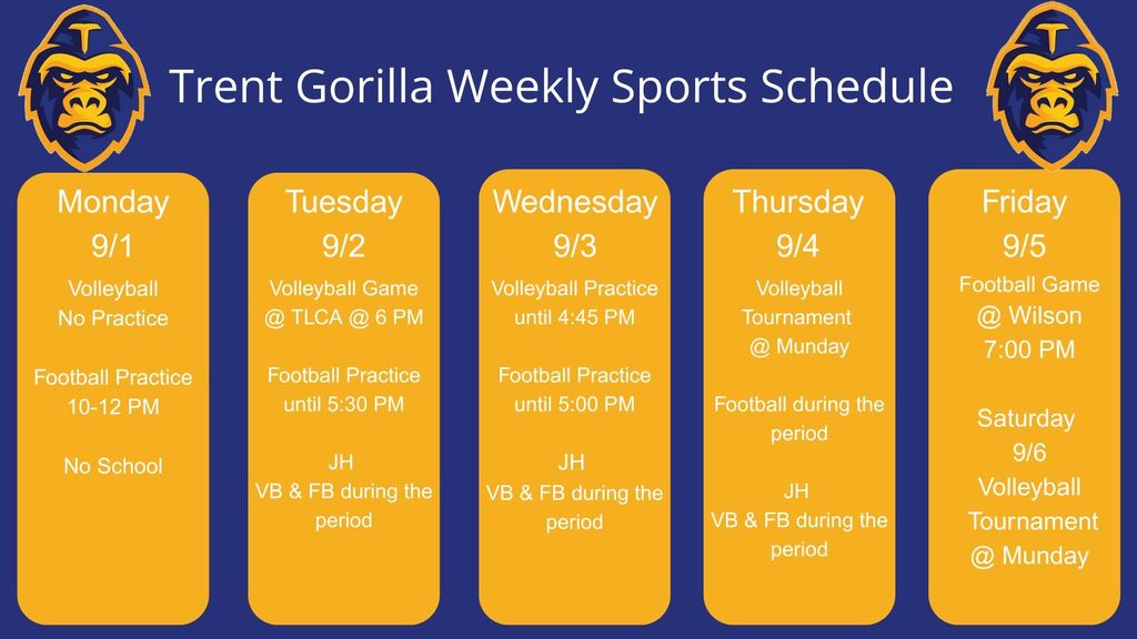 week 6