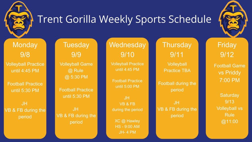 week 7
