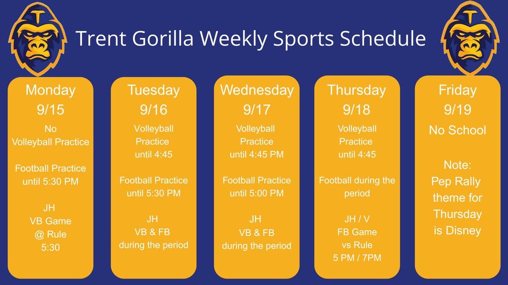 week 7