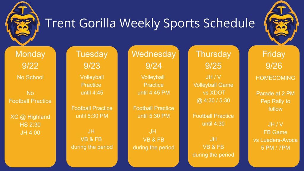 week 8