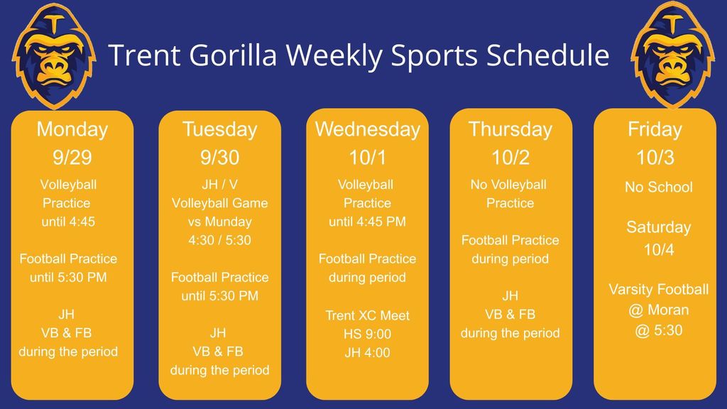 week 9