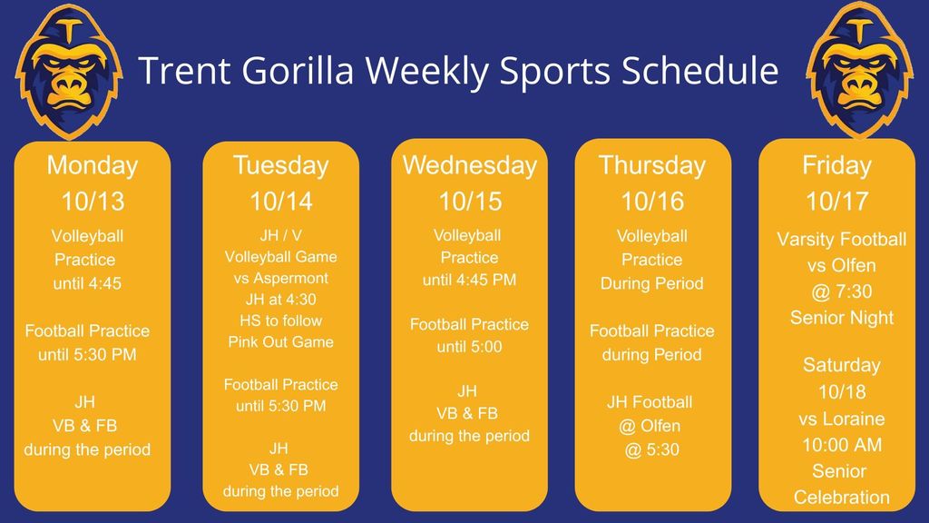 week 11