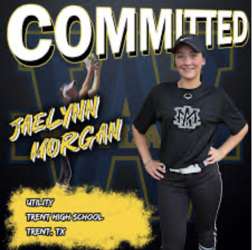 Screenshot 2025-12-03 at 4