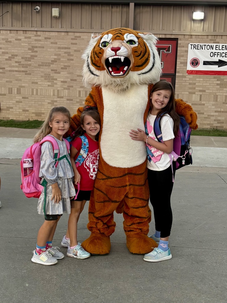 Tiger Mascot 1