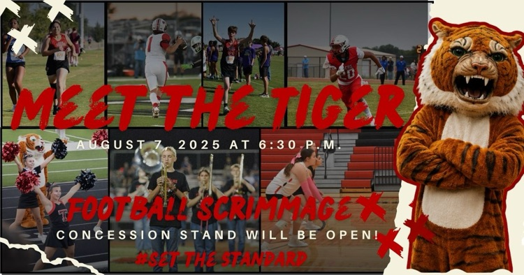 Meet the Tiger