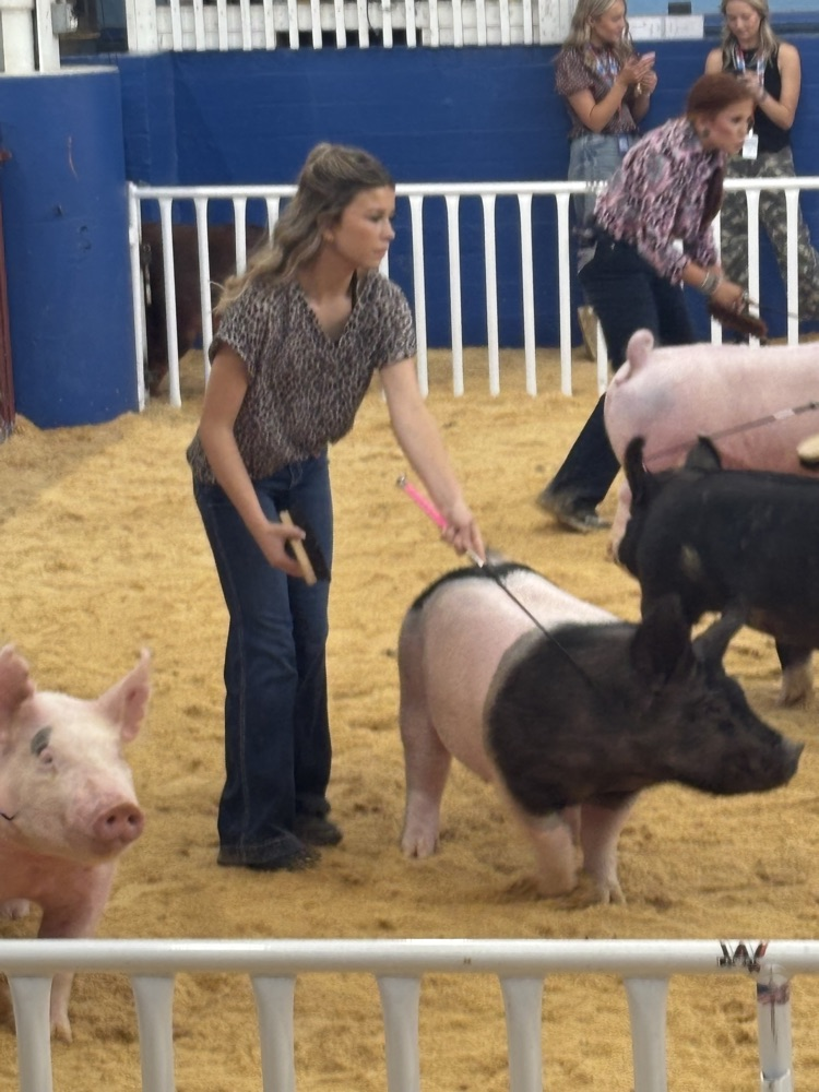 FFA