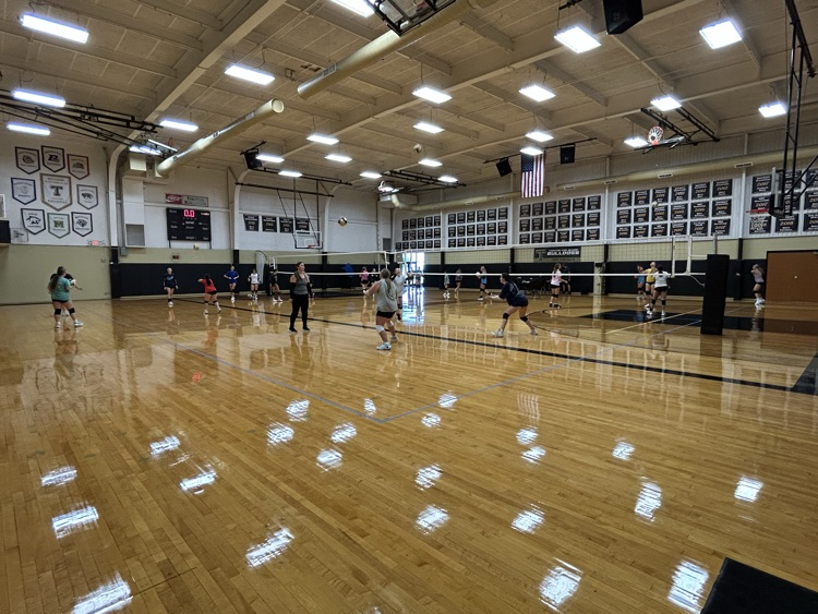 Volleyball