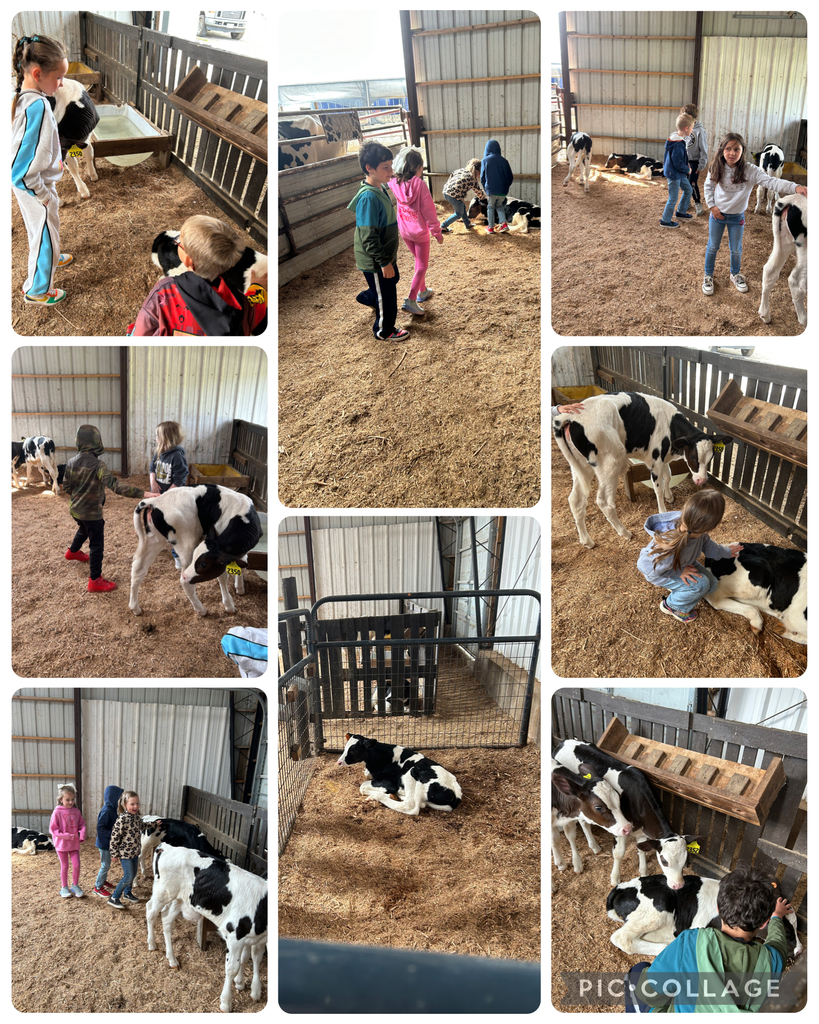 Shatto Milk