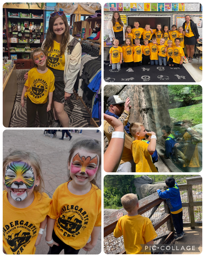 zoo