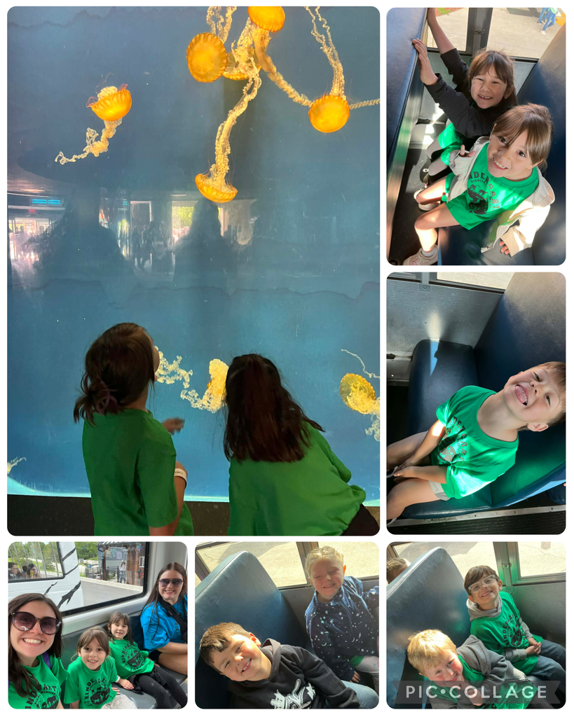 zoo