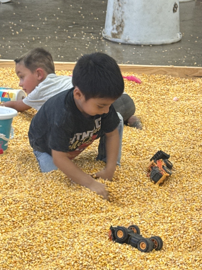 corn