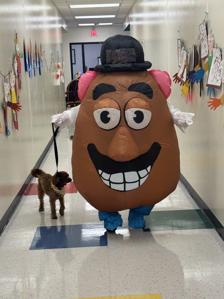 Potato