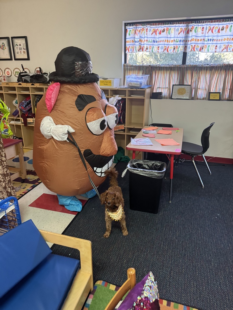 Potato