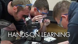 Hands-On Learning