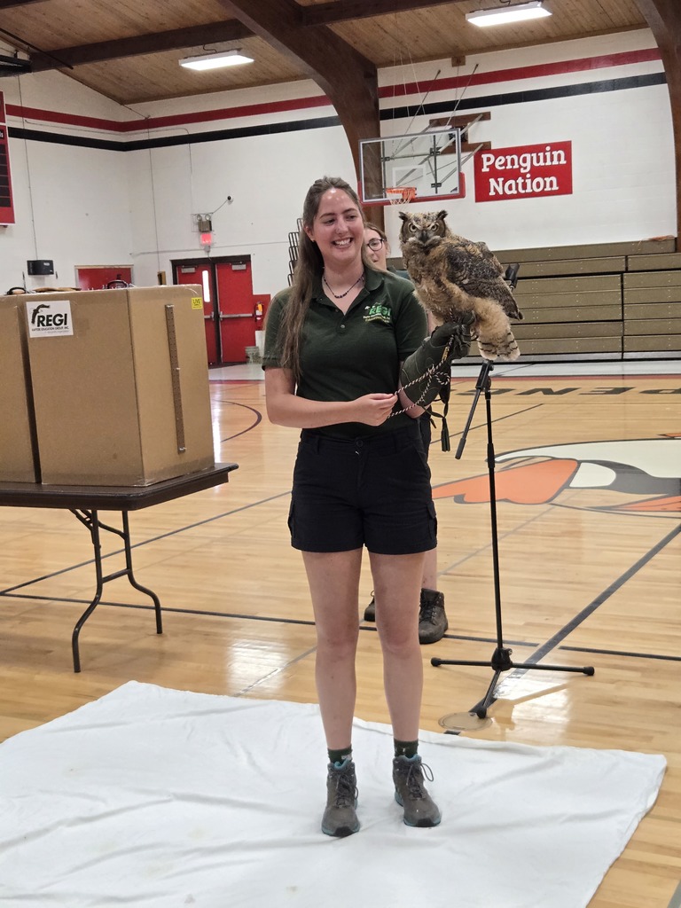 owl