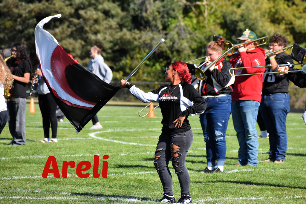 Areli