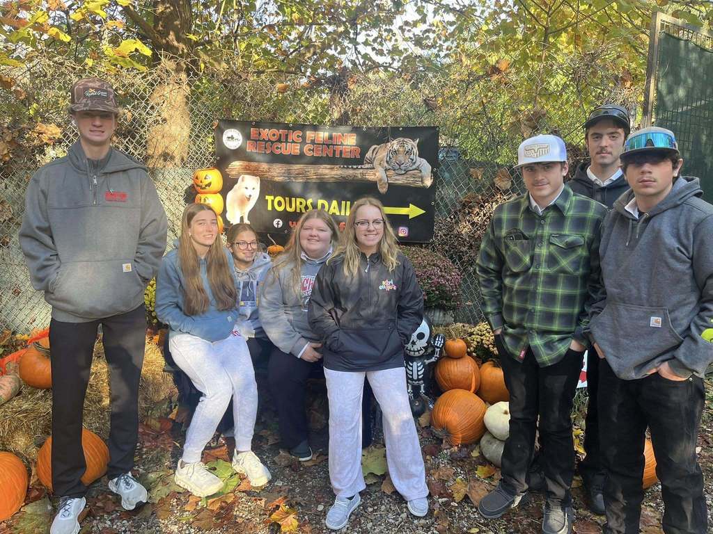 Exotic Feline Rescue