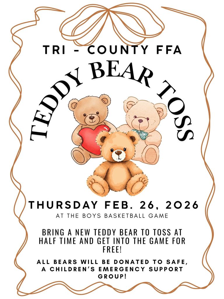 Teddy Bear Toss