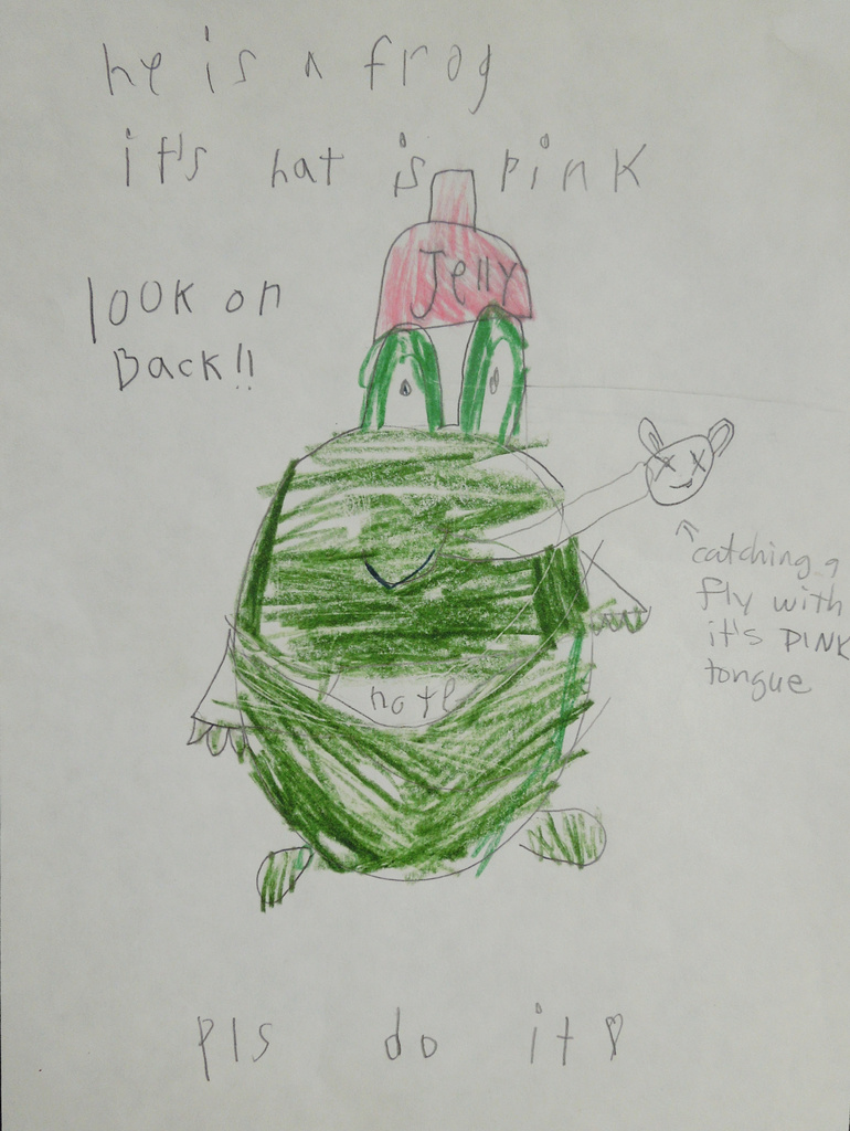 Frog drawing