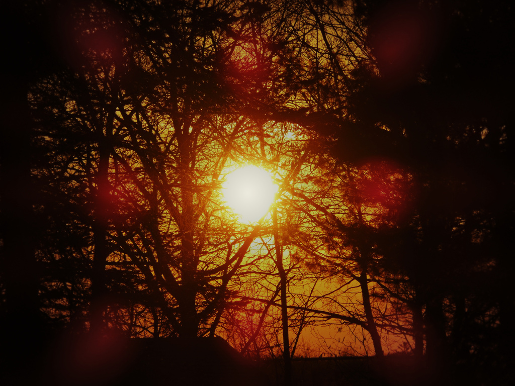 Aliyah sunset