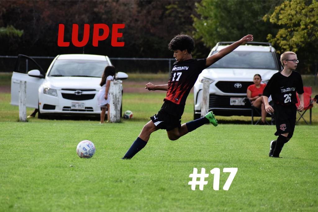 lupe
