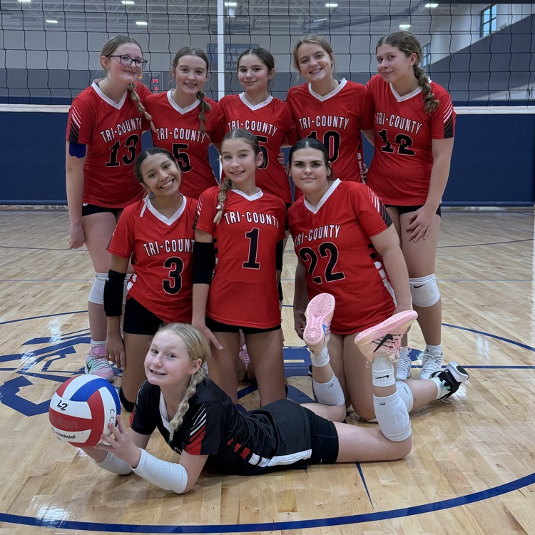 msvb 