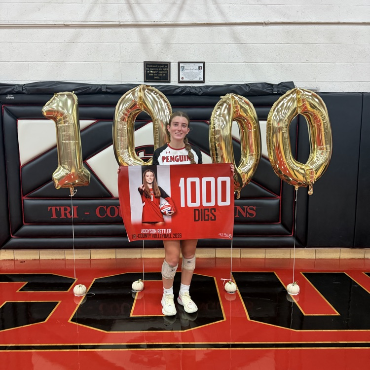 1000 digs