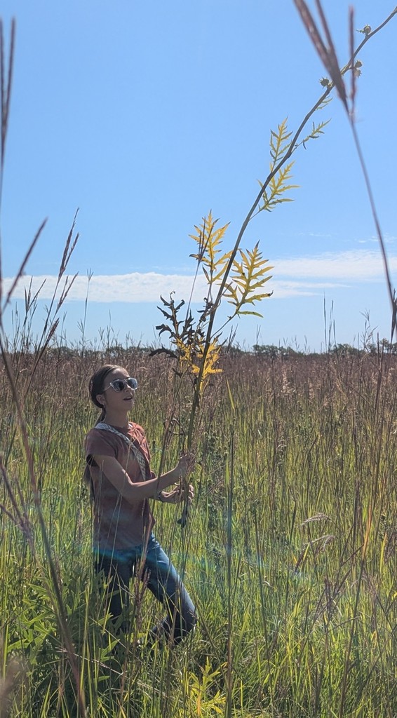 Tall plants!