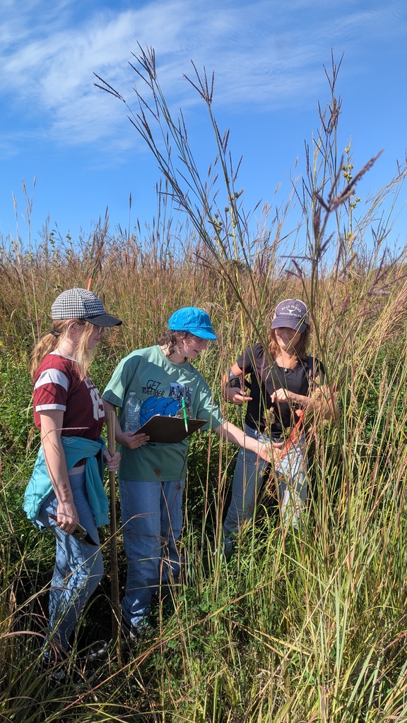 tall grass!