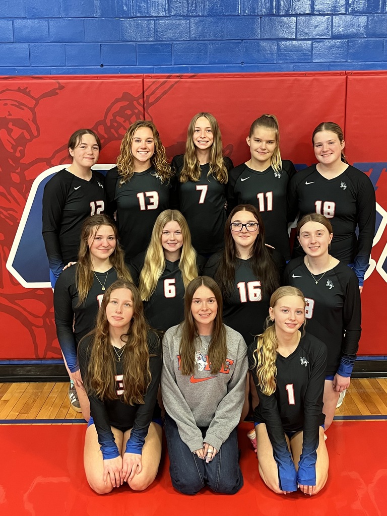 HS volleyball