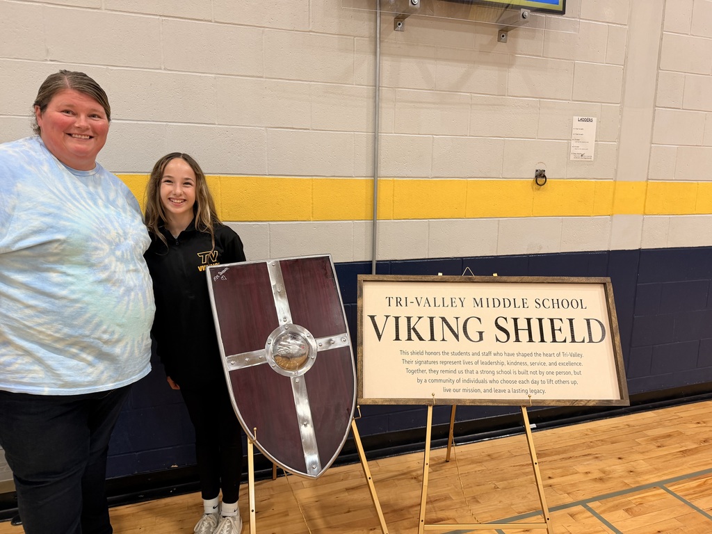 Viking Shield