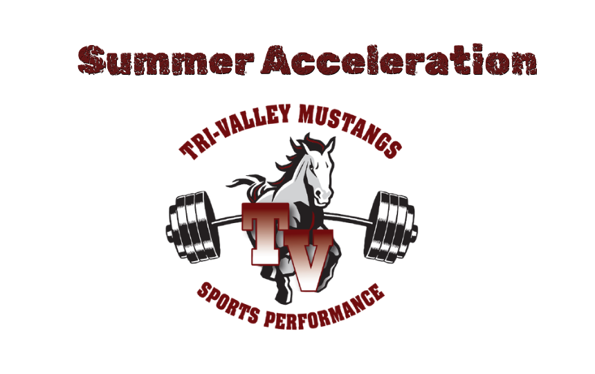 Acceleration Logo