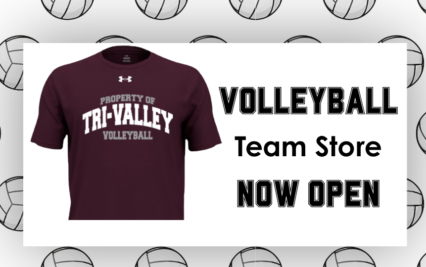 volleyball team store logo