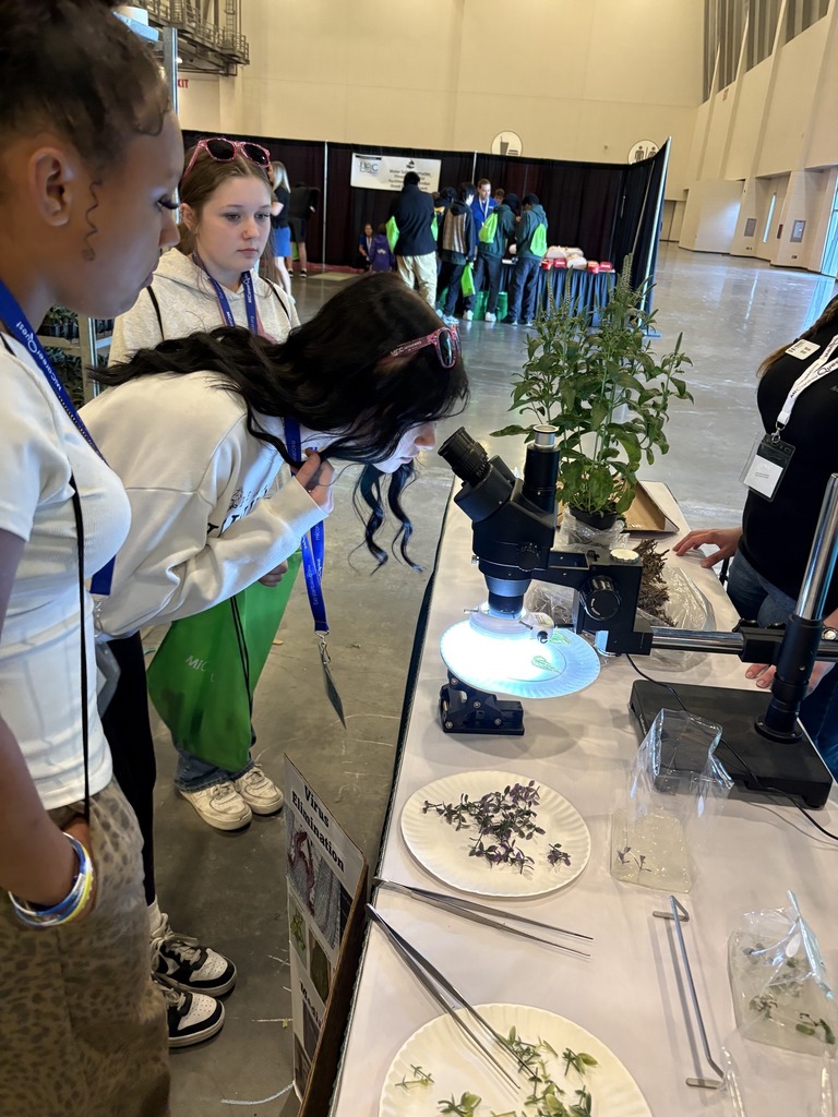 Eighth grade students looking through a microscope at Career Quest at DeVos Place.