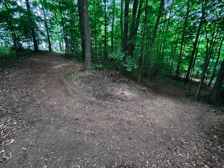 Run 4