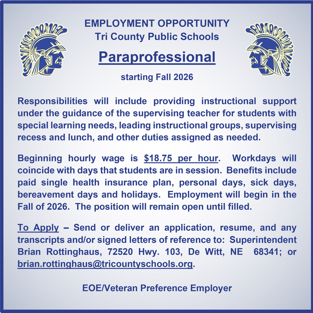 paraprofessionals
