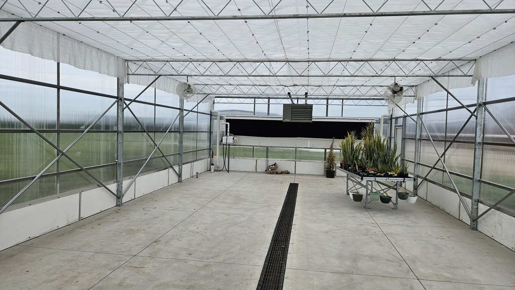 greenhouse