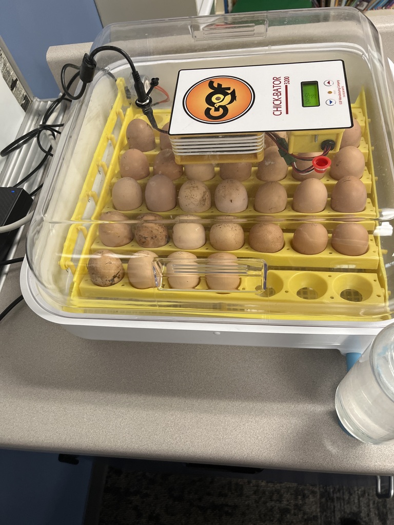 Incubator