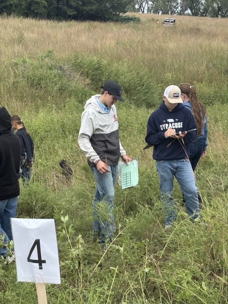 Students evaluating plant ID.